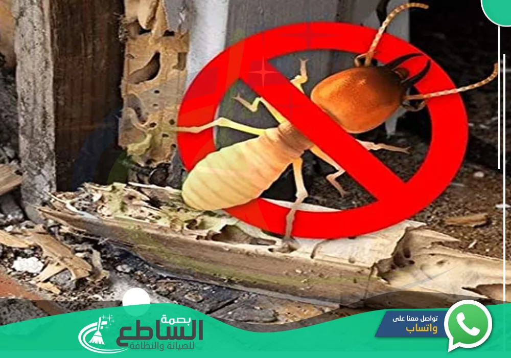 شركة مكافحة النمل الابيض بابها