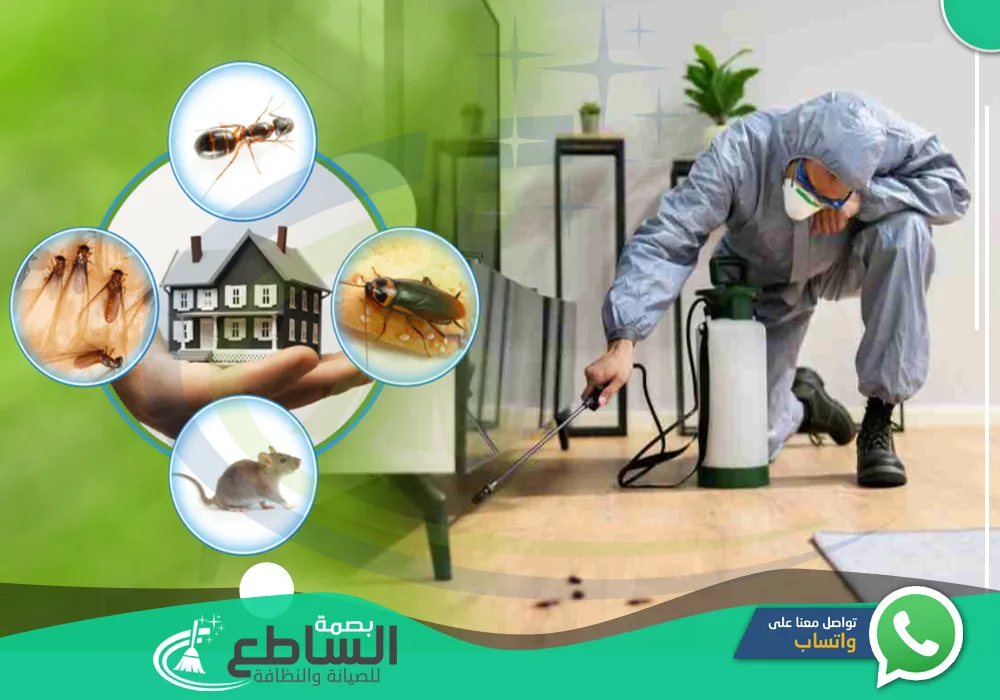 شركة رش مبيدات بابها | شركة مكافحة حشرات بابها