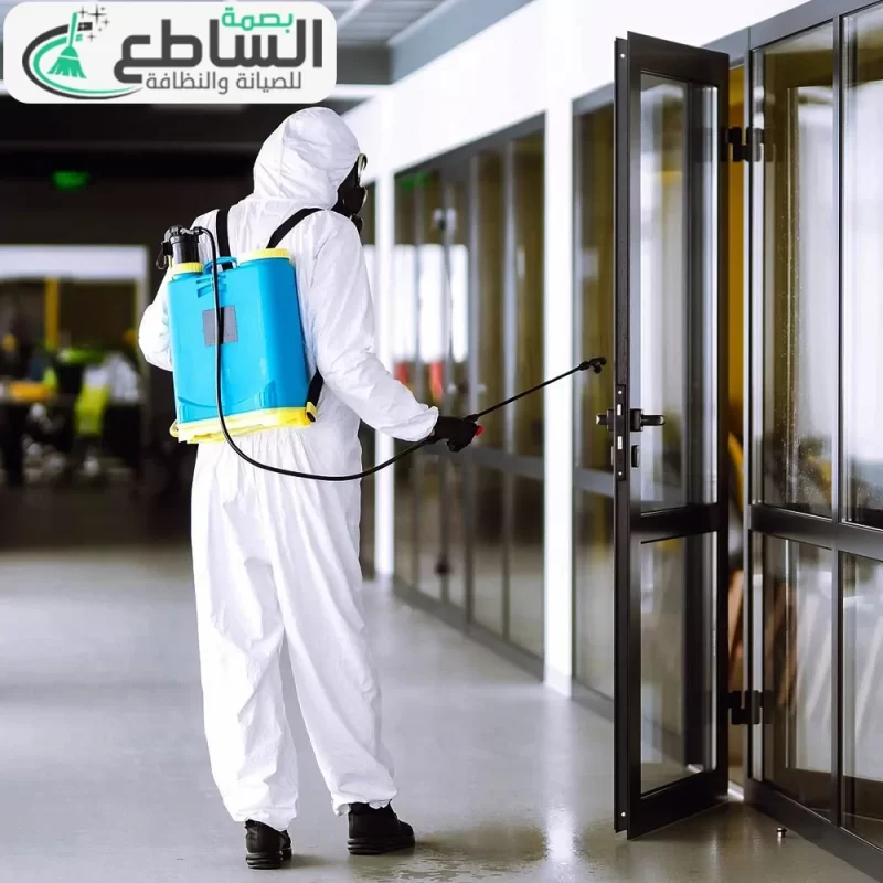 شركة مكافحة النمل بخميس مشيط شركة مكافحة النمل الأبيض بخميس مشيط