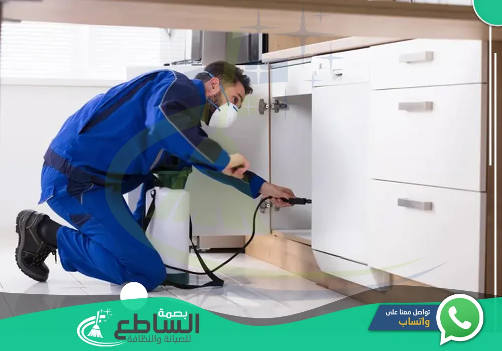أرقام شركة رش مبيدات بخميس مشيط | مكافحة حشرات بخميس مشيط