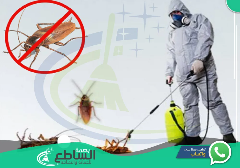 شركة مكافحة صراصير بابها 🪳  💯  | 0557997714 | مبيدات حشرية