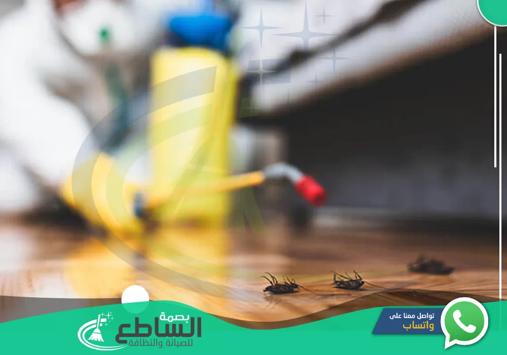 أرخص شركات مكافحة صراصير بابها