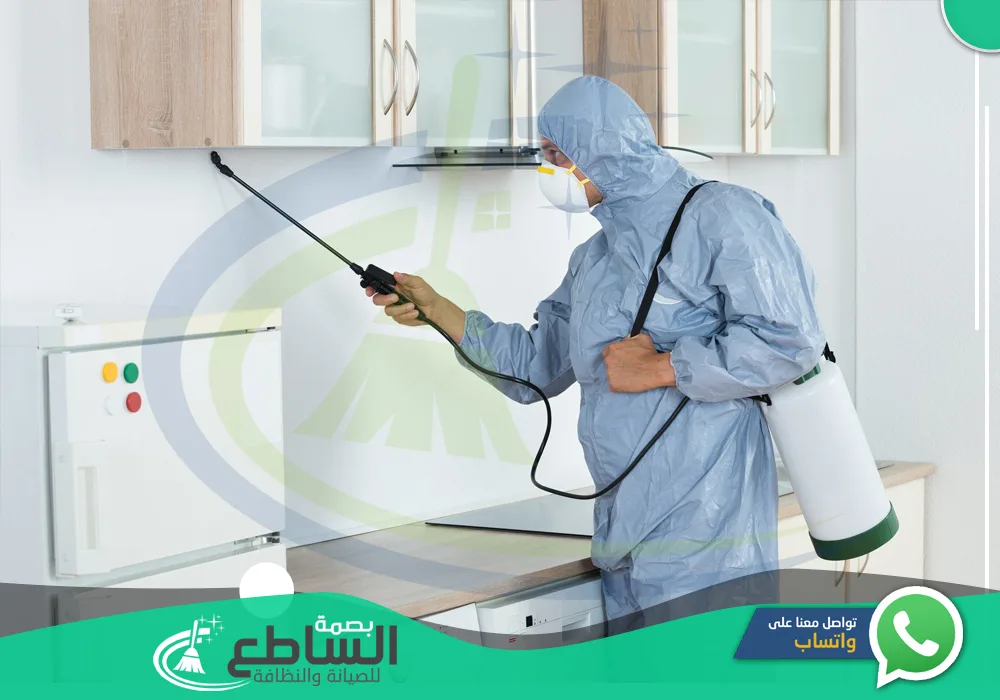 أرخص شركات مكافحة صراصير بابها