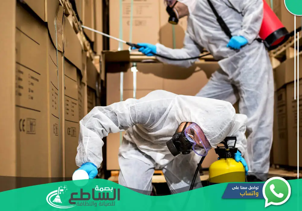 مكافحة حشرات وقوارض
